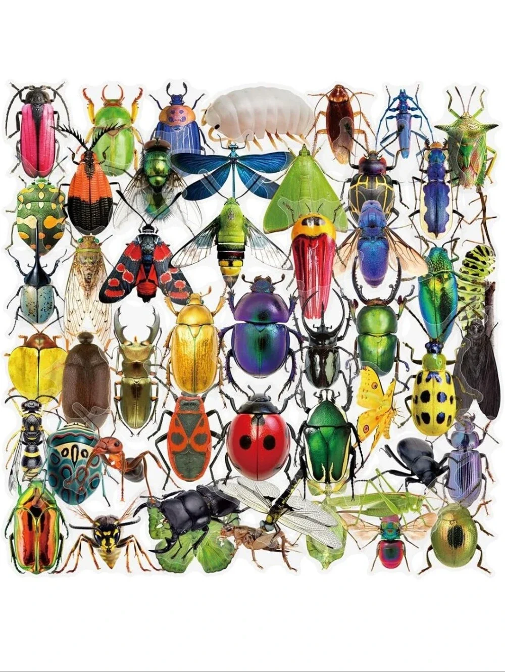 Colorful Bug Sticker Pack for Kids Toys - Multicolor